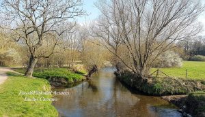 03-04-2019 Natuur Geuldal Image00001 (4)