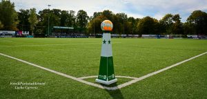 Groene Ster Image00001