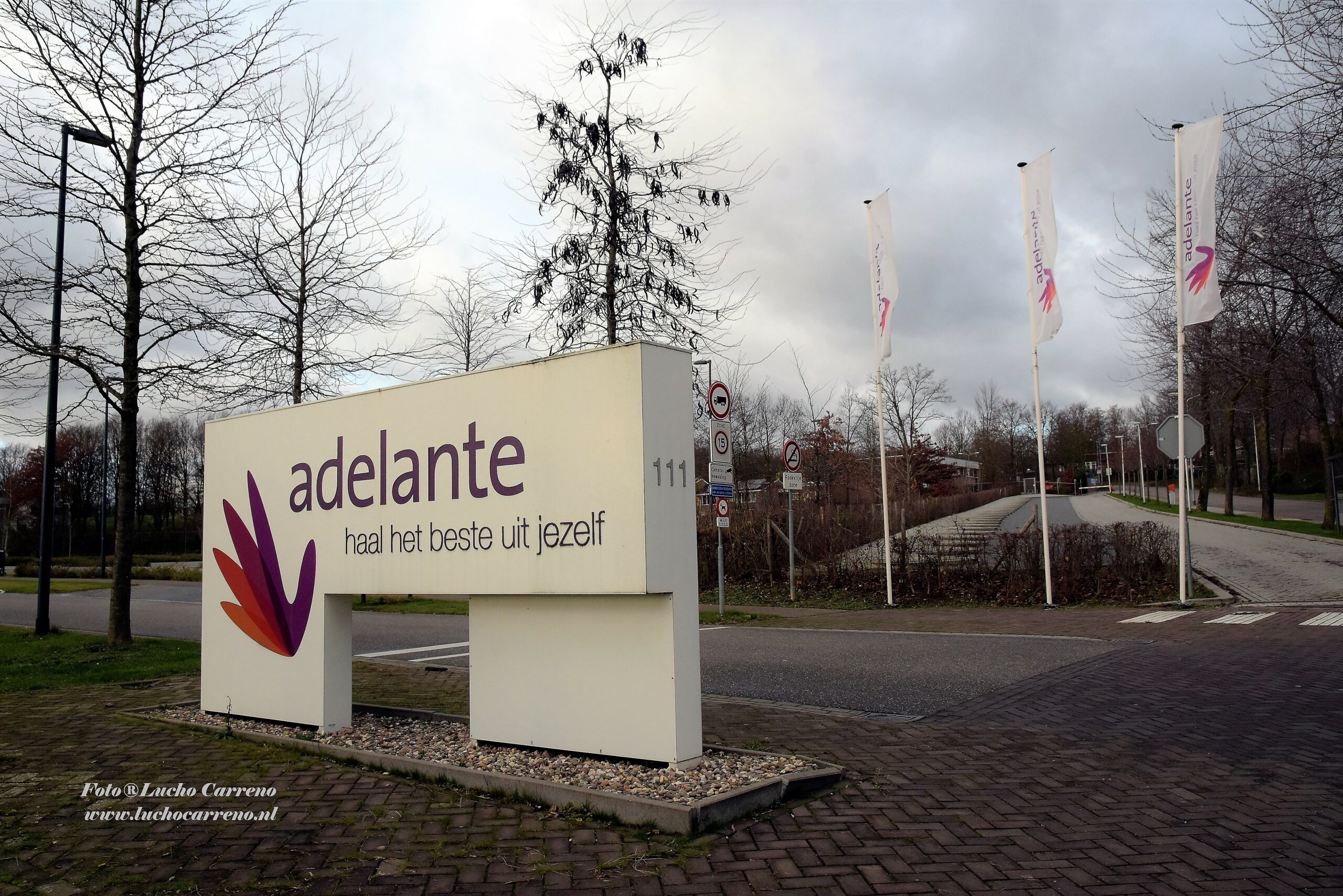 Adelante DSC_5949