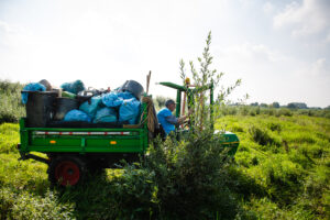 Maas Cleanup 2021 Preview (Jonathan Vos Photography)
