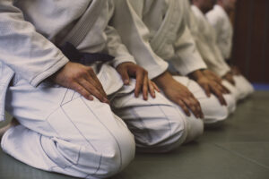 Judo Liga