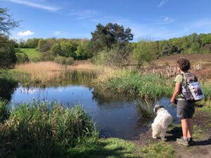wandelmissie